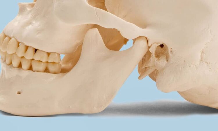 dr ryan dentist